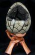 Septarian Dragon Egg Geode - Crystal Filled #37357-1